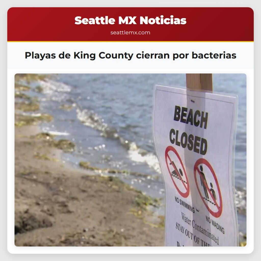 Noticias De Seattle 2 Playas de King County cierran por bacterias