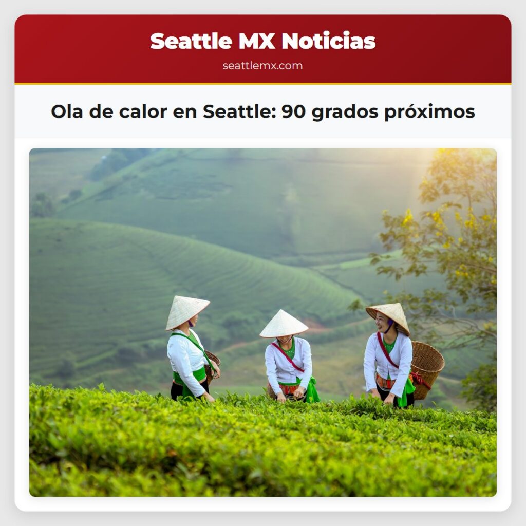 Ola de calor en Seattle: 90 grados próximos