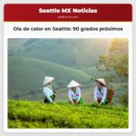 Ola de calor en Seattle 90 grados próximos