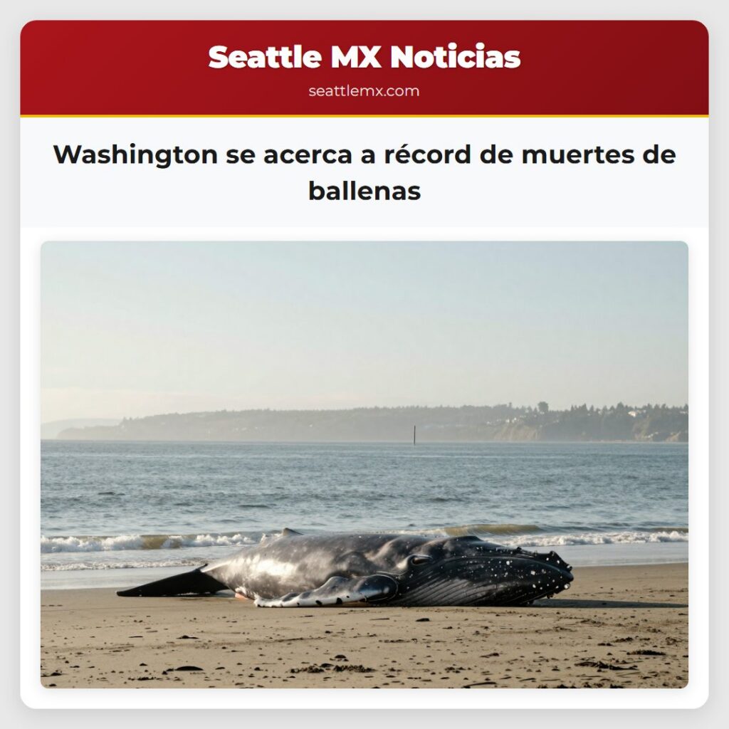 Washington se acerca a récord de muertes de