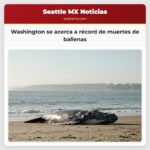 Washington se acerca a récord de muertes de ballenas