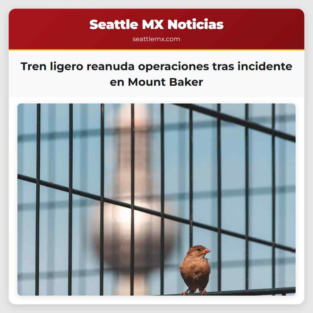 Tren ligero reanuda operaciones tras incidente en