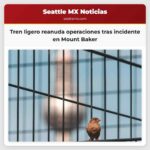 Tren ligero reanuda operaciones tras incidente en Mount Baker