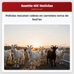 Policías rescatan cabras en carretera cerca de SeaTac