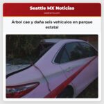 Árbol cae y daña seis vehículos en parque estatal