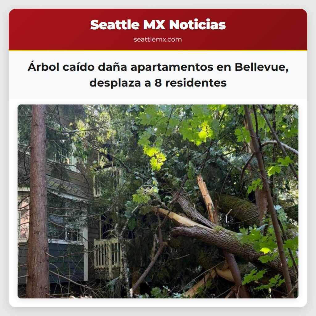 Árbol caído daña apartamentos en Bellevue,