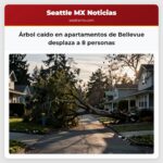 Árbol caído en apartamentos de Bellevue desplaza a 8 personas