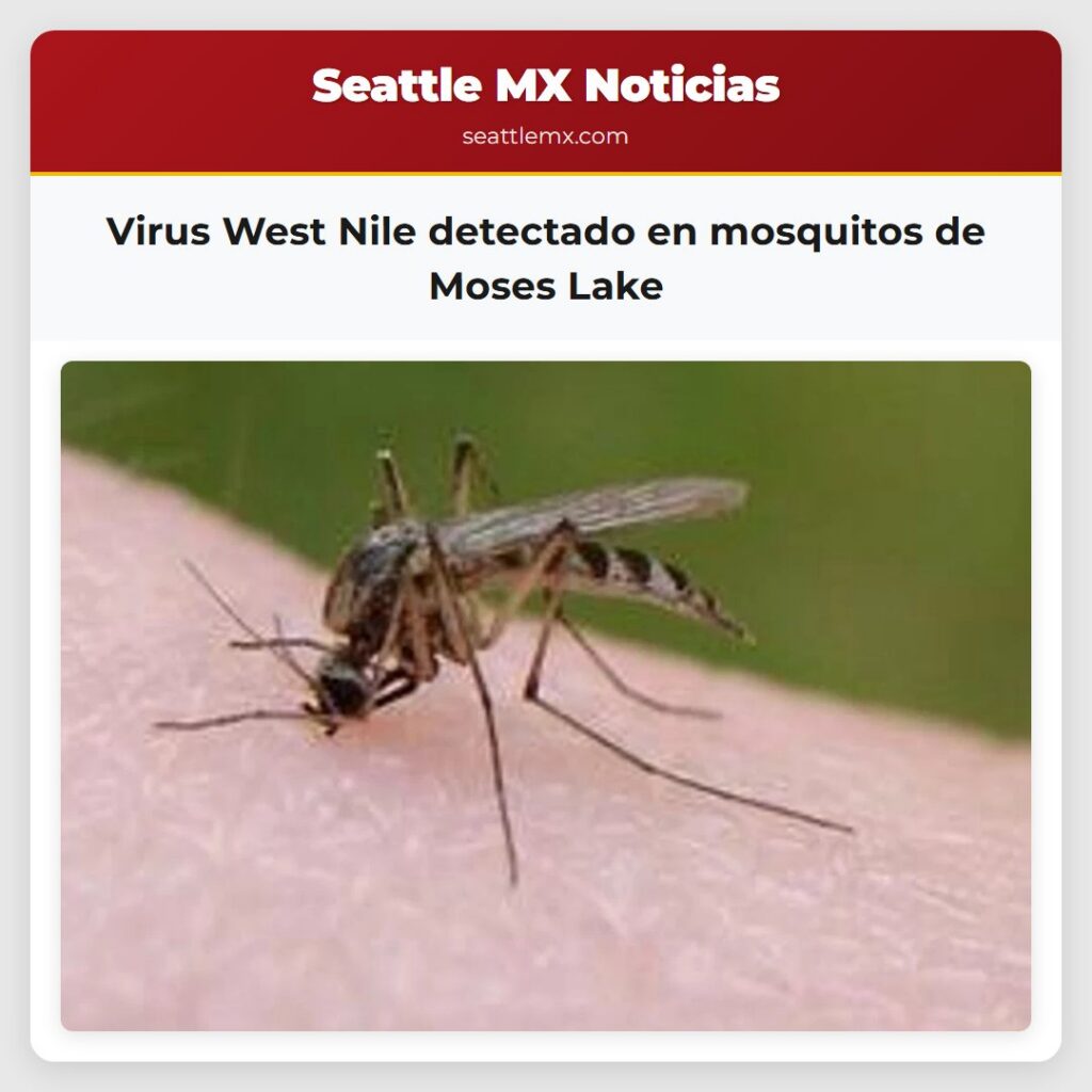 Virus West Nile detectado en mosquitos de Moses