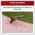 Virus West Nile detectado en mosquitos de Moses Lake