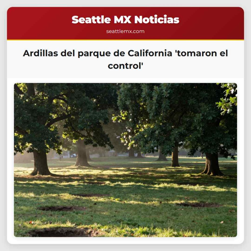 Ardillas del parque de California 'tomaron el