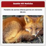 Parásito de zorros infecta perros en noroeste EE.UU.