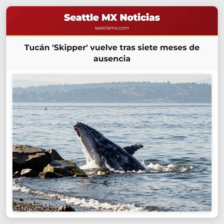 Tucán Skipper vuelve tras siete meses de ausencia