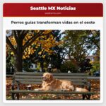 Perros guías transforman vidas en el oeste