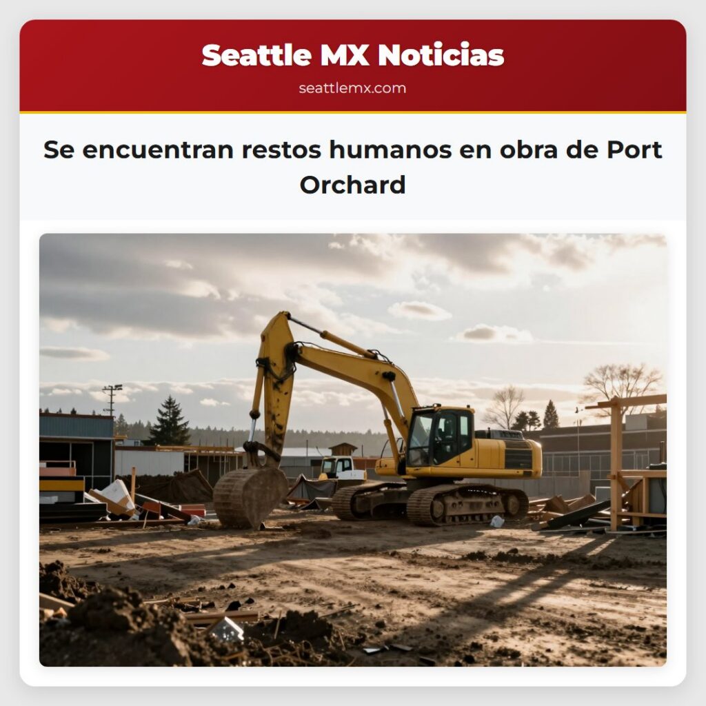 Se encuentran restos humanos en obra de Port