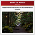 Dos adolescentes heridos en ataque de osa en Mount Si