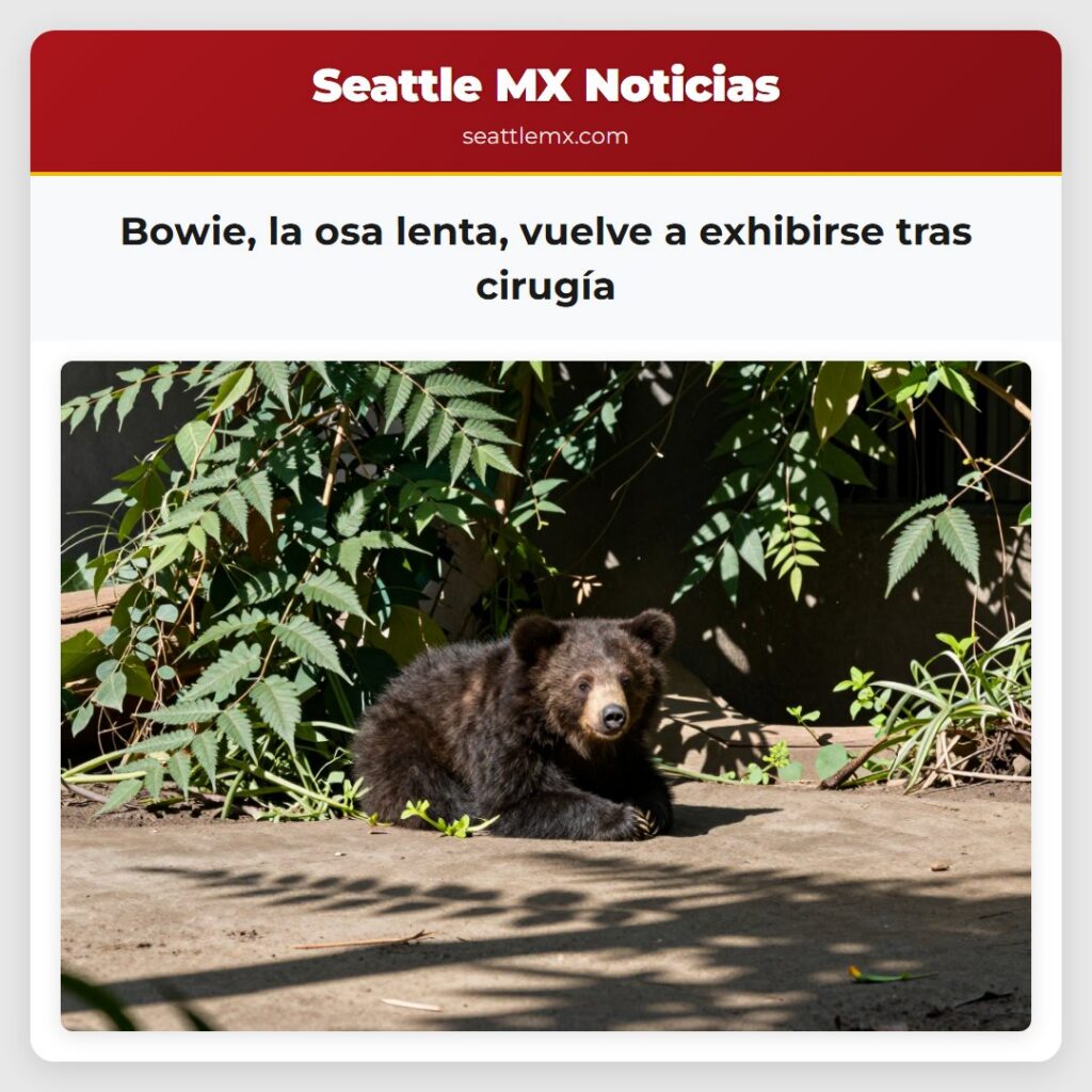 Bowie, la osa lenta, vuelve a exhibirse tras