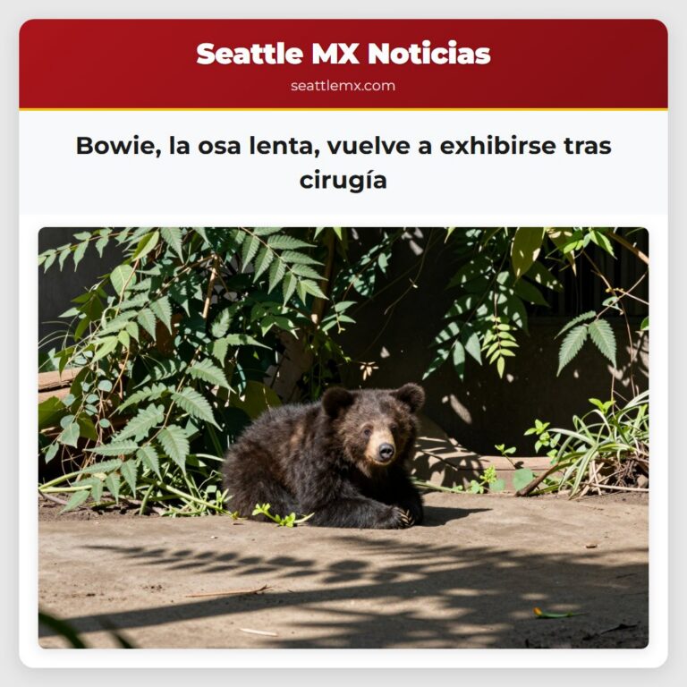Bowie la osa lenta vuelve a exhibirse tras cirugía