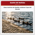 Osos marinos de Seattle celebran Copa del Mundo