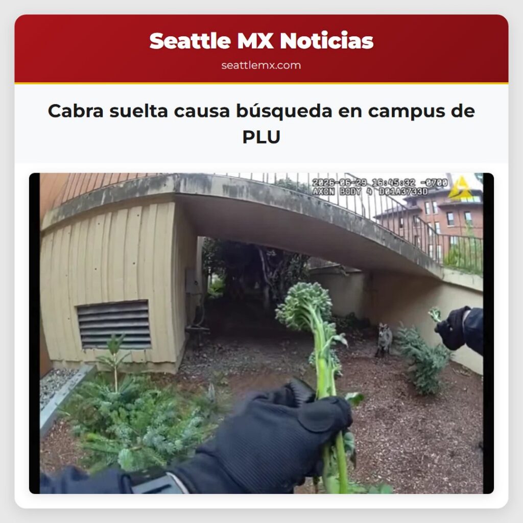 Cabra suelta causa búsqueda en campus de PLU