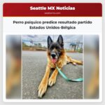 Perro psíquico predice resultado partido Estados Unidos-Bélgica