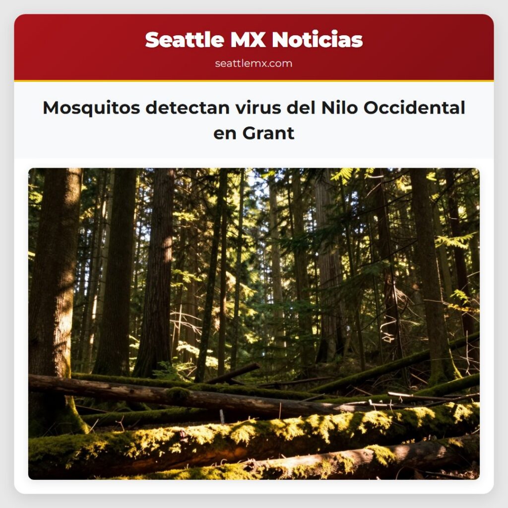 Mosquitos detectan virus del Nilo Occidental en