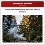 Fuego cerca del Puente de Acero Alto en Olimpico