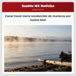 Canal Hood cierra recolección de mariscos por toxina letal