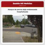 Ataque de perros deja embarazada hospitalizada