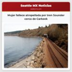 Mujer fallece atropellada por tren Sounder cerca de Carkeek