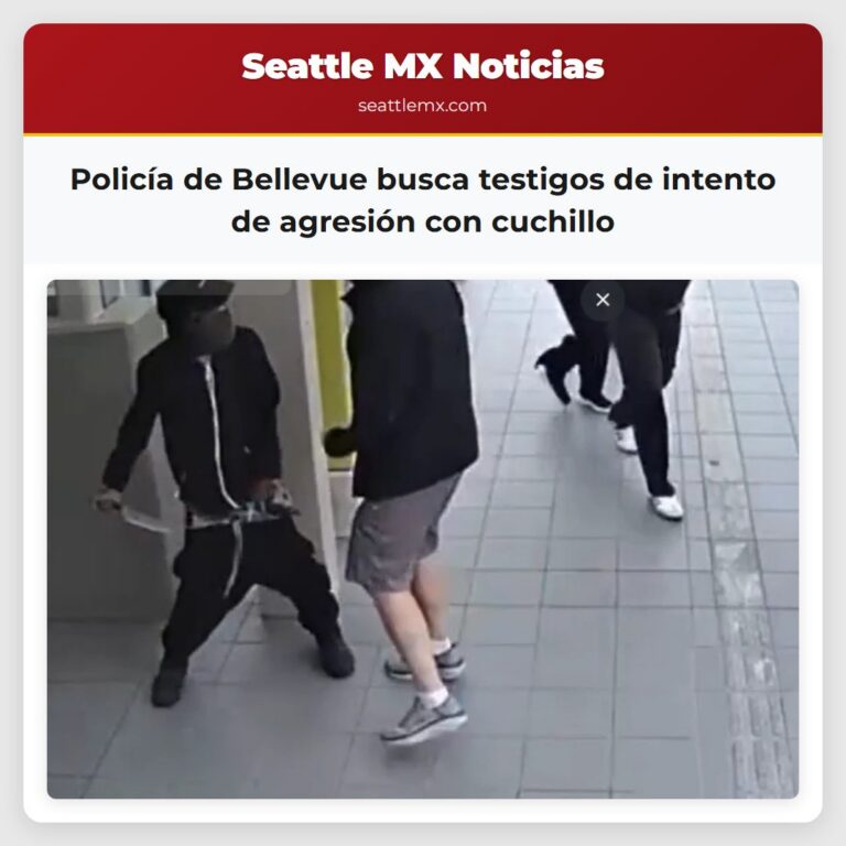 Policía de Bellevue busca testigos de intento de agresión con cuchillo